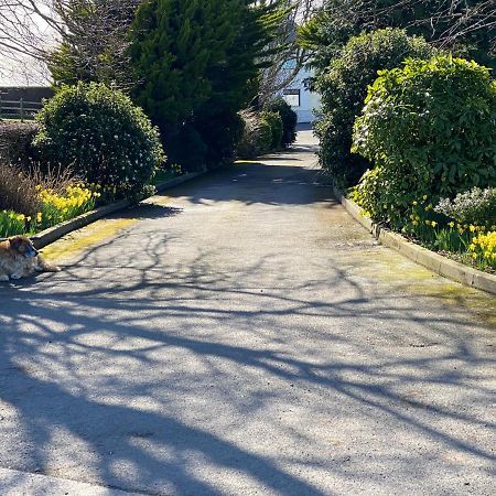 Rose Cottage Captivating 1-Bed Cottage In Bangor ภายนอก รูปภาพ