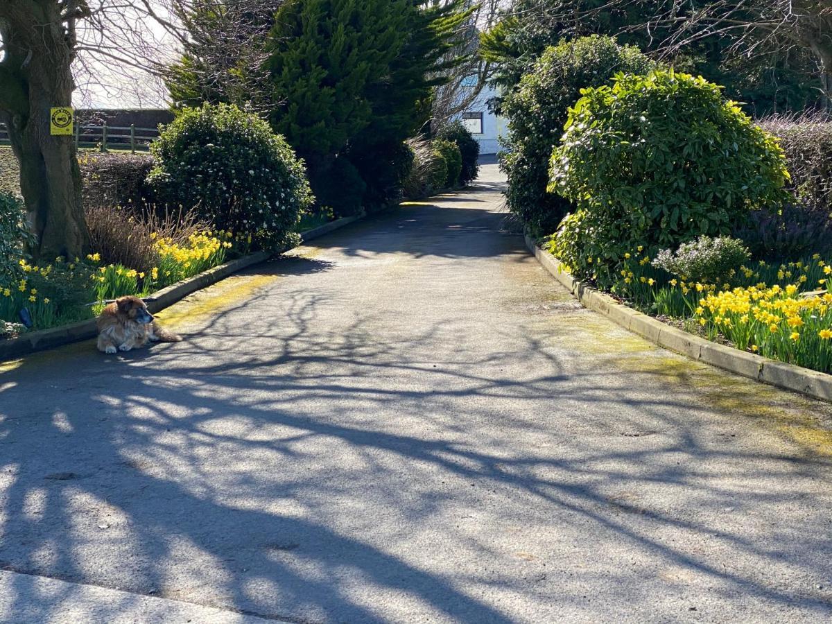 Rose Cottage Captivating 1-Bed Cottage In Bangor ภายนอก รูปภาพ